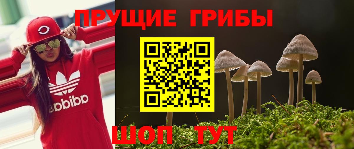 Псилоцибиновые грибы GOLDEN TEACHER  Вход с VPN  Новокубанск 